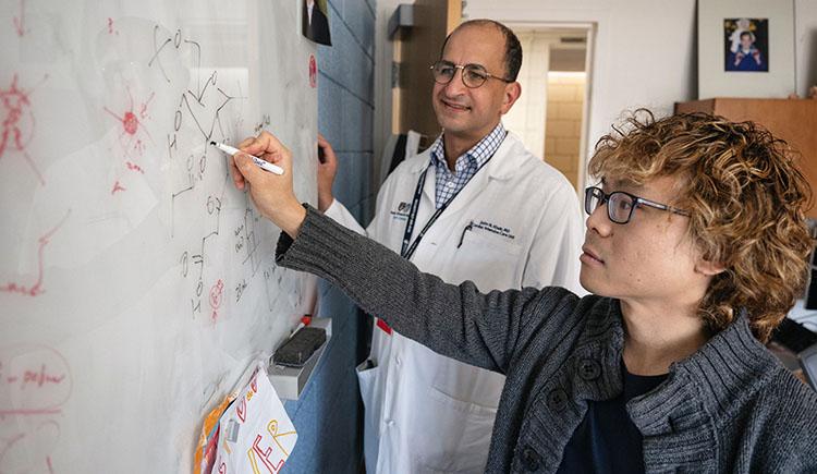 Two scientists — one in a lab coat and one in a cardigan — collaborate at a whiteboard with chemical diagrams