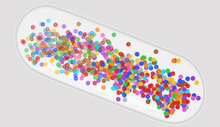 Colored dots overlap within the silhouette of a rod-shaped bacterium