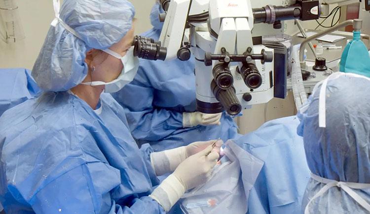In an operating room, three people in blue surgical gowns, masks, and head covers look through microscopes while performing surgery on a patient.