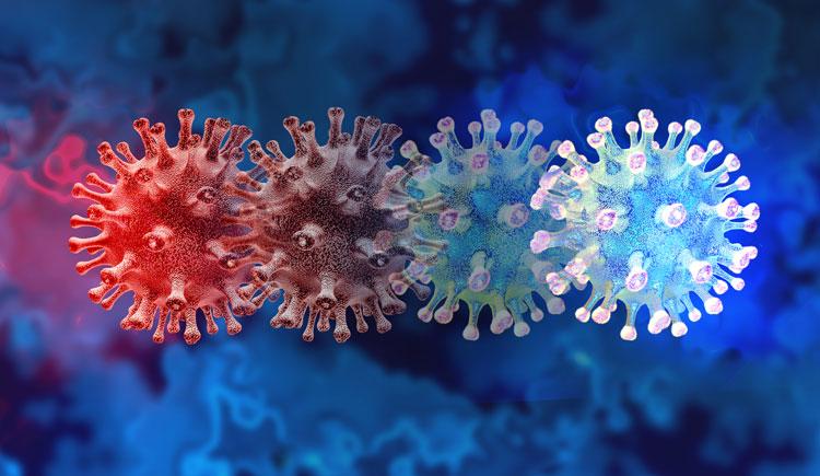 A row of four slightly overlapping COVID-19 viruses, transitioning from red on the left to blue on the right