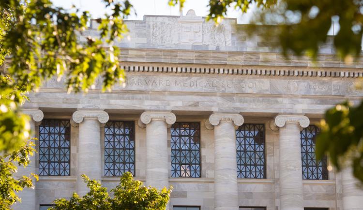 Facade of Harvard Medical School’s Gordon Hall with columns, seen through tree branches.