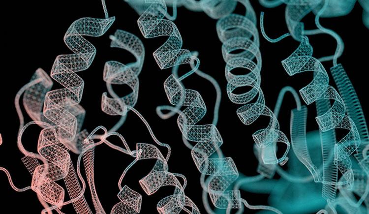 A stylized image of several pink and teal spring-like protein structures on a black background