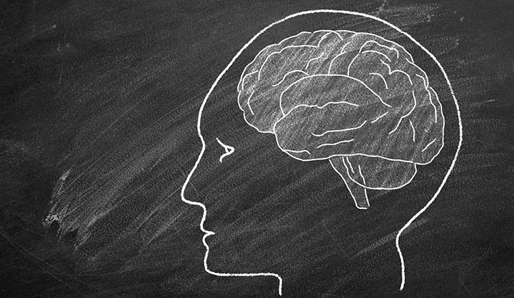 A chalk drawing of a human head with a brain inside