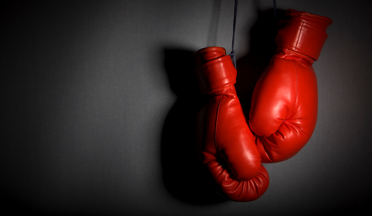 A pair of dramatically lit boxing gloves hanging on a wall