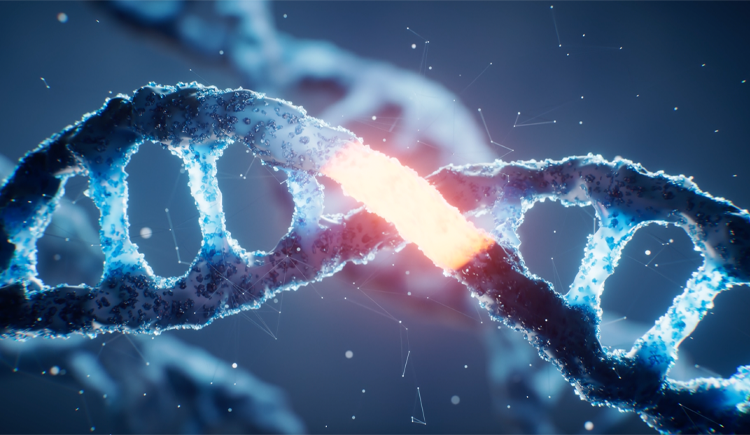 Blue helical DNA ladder with a glowing orange section