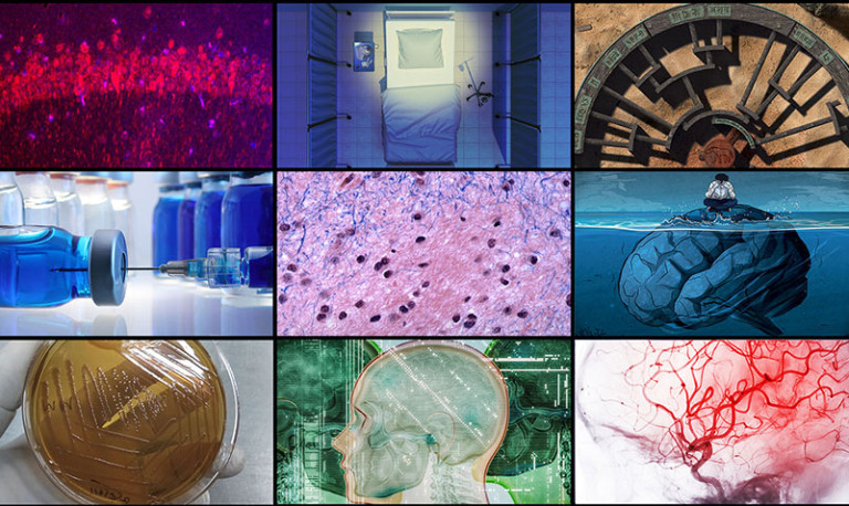 Grid of nine images featured in the news stories on this page