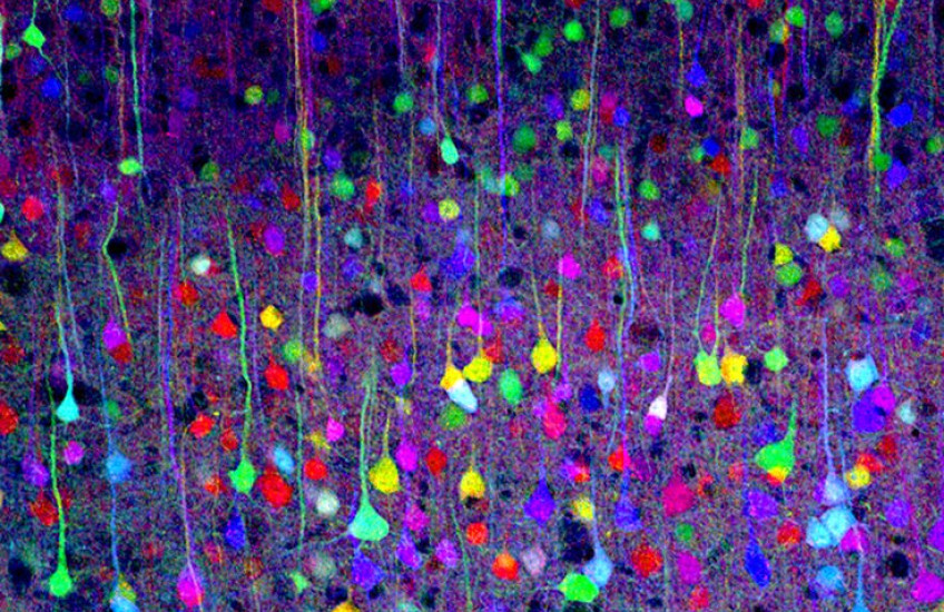 Nature, Meet Nurture