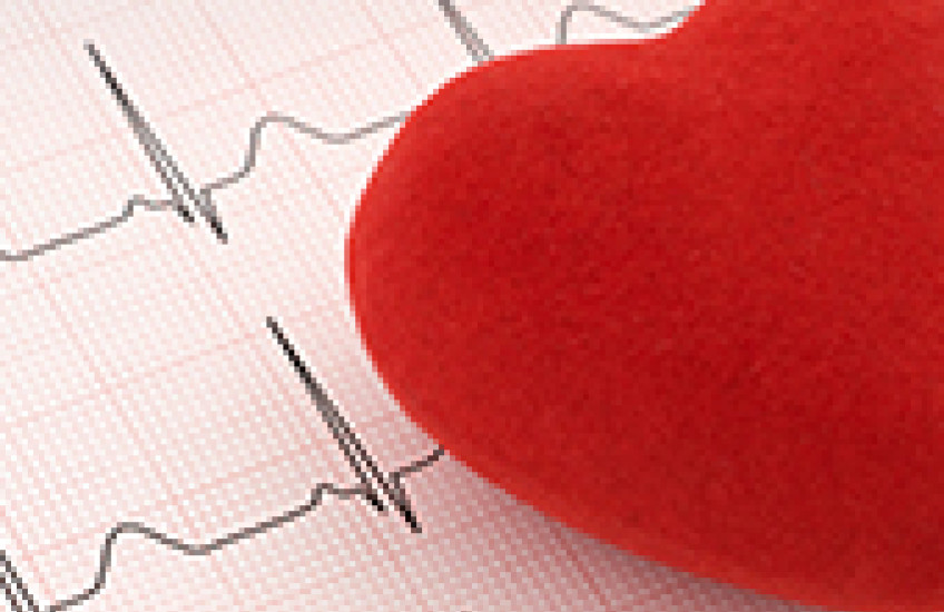 heart