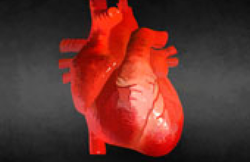 heart