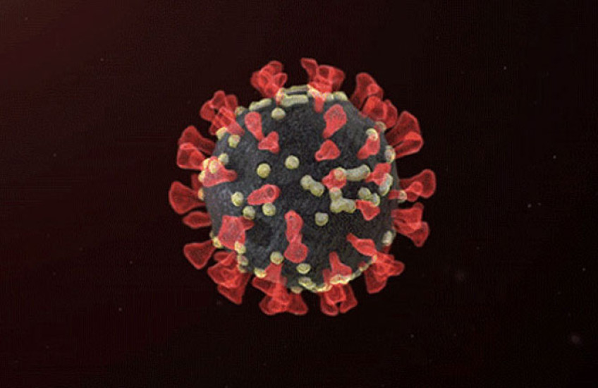 A single red viral molecule on a black background