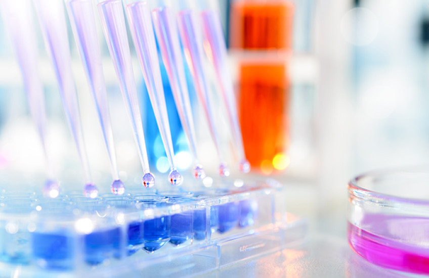 A close up of test tubes and droppers in a laboratory