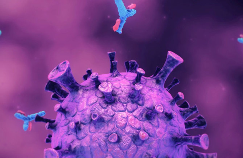 Computer generated image of a viral molecule 