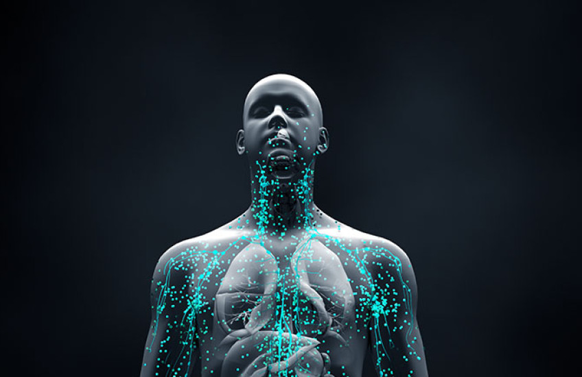digital illustration of human body, with veins illuminated in teal