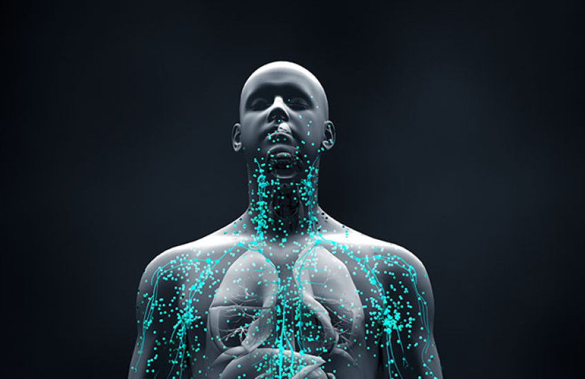 digital illustration of human body, with veins illuminated in teal
