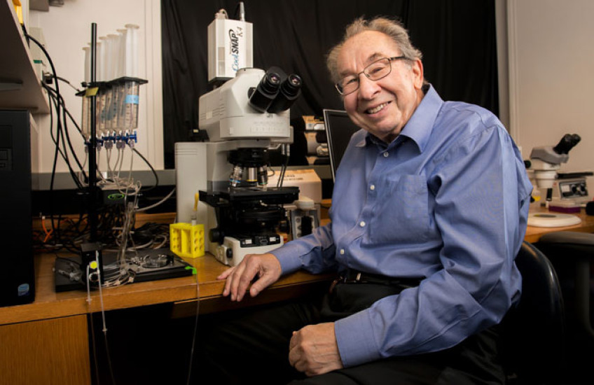 A photo of Ed Kravitz in a blue shirt sitting in front of a microscope at a lab bench