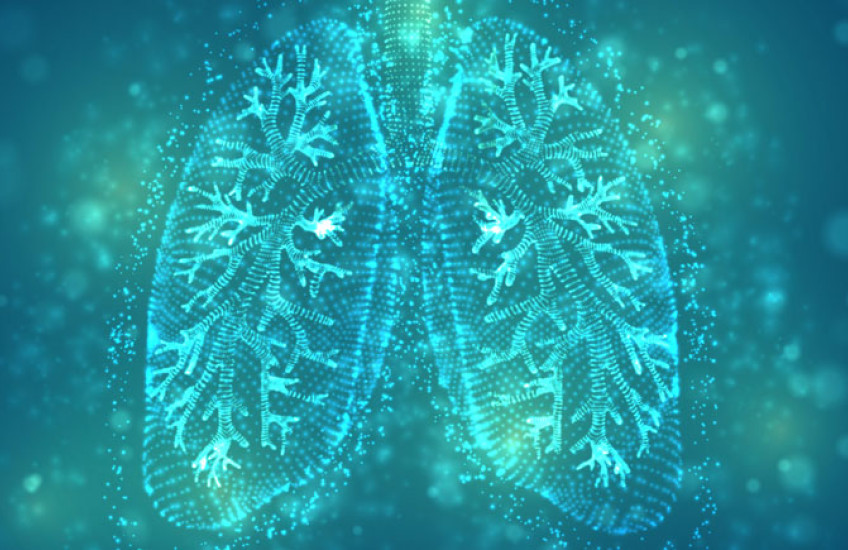 A stylized image of human lungs in blue and green