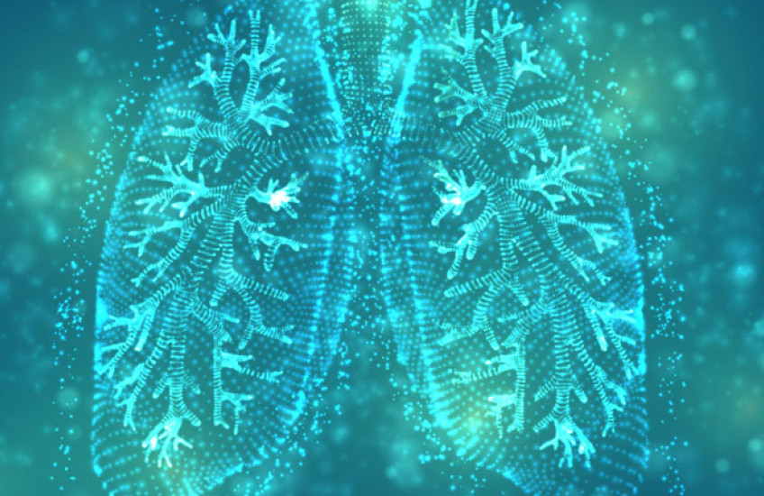 A stylized image of human lungs in blue and green