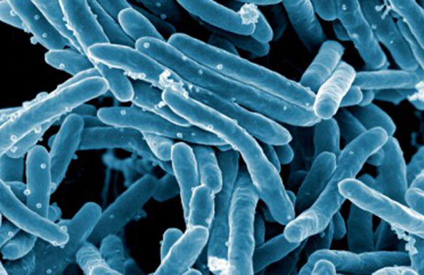 an image of long blue pill-shaped objects on a black background