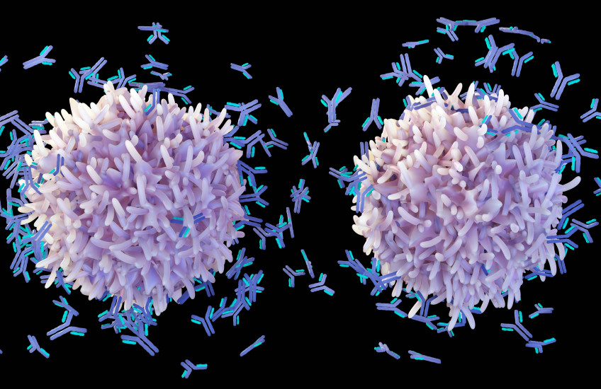 Illustration of two balls with rough surfaces, emitting dozens of Y-shaped antibodies