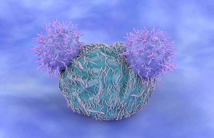 Computer generated image of two CAR-T cells targeting one cancer cell