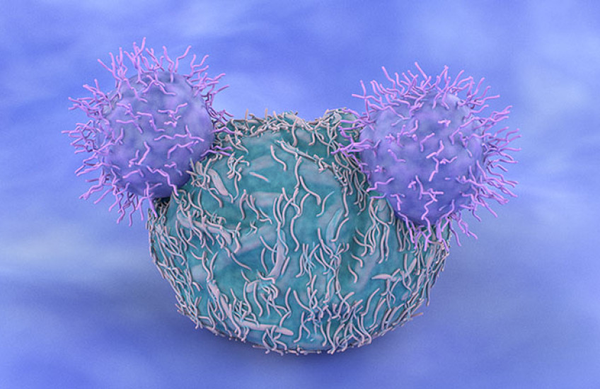 Computer generated image of two CAR-T cells targeting one cancer cell
