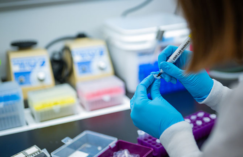 A scientist wearing gloves labels samples in a lab