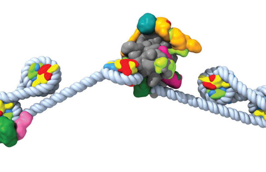 Brightly colored clusters representing proteins 