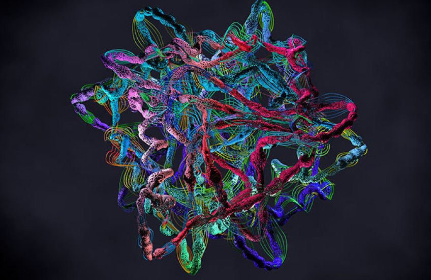 Chain of amino acids forming proteins