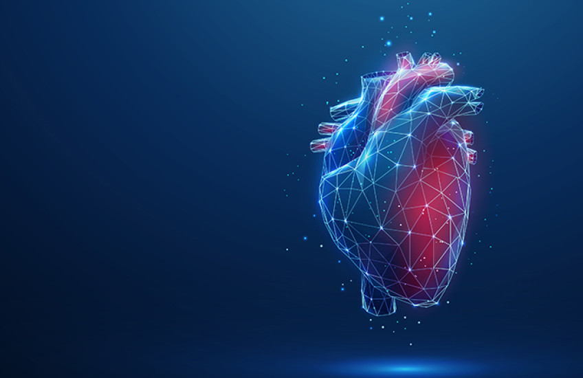 Illustration of a heart shaded red and blue against a dark background, with white lines and nodes overlaid on it like it is being mapped