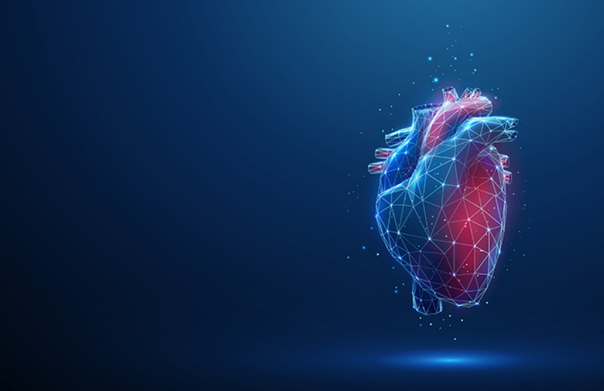 Illustration of a heart shaded red and blue against a dark background, with white lines and nodes overlaid on it like it is being mapped