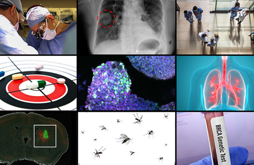 A grid of 9 images represents top HMS science articles from 2024. They show two surgeons at work; a spot circled on a lung X-ray; health care providers seen from above; a target with pills scattered across it; cells colored purple and aqua under a microscope; illustration of lungs; a mouse brain with a cluster of green cells; mosquitoes; and a vial of blood labeled “BRCA Genetic Test.”
