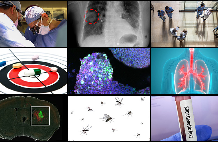 A grid of 9 images represents top HMS science articles from 2024. They show two surgeons at work; a spot circled on a lung X-ray; health care providers seen from above; a target with pills scattered across it; cells colored purple and aqua under a microscope; illustration of lungs; a mouse brain with a cluster of green cells; mosquitoes; and a vial of blood labeled “BRCA Genetic Test.”