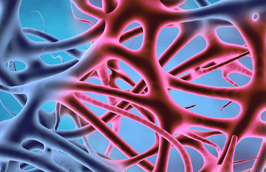 A close-up of inflamed tissue under a microscope