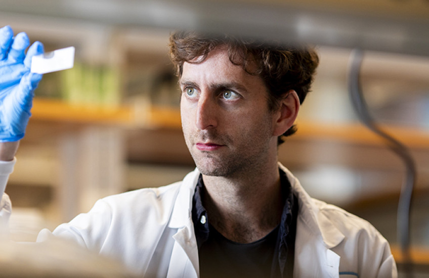 A man in a lab coat and blue latex gloves holds up a microscope slide