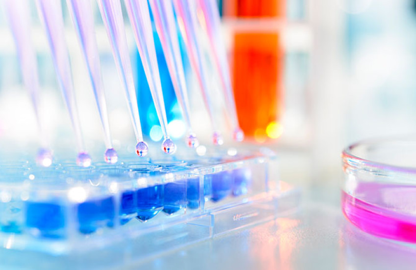 Glassware in a lab filled with liquids of various colors