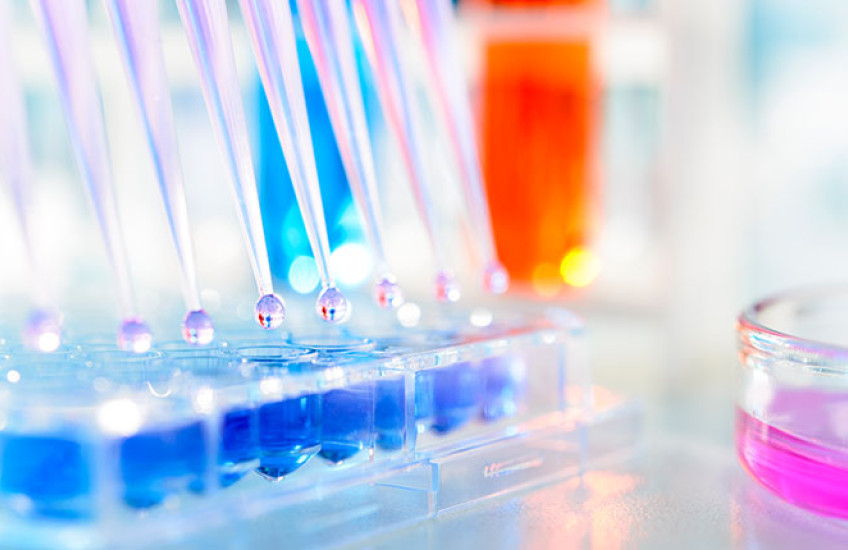 Glassware in a lab filled with liquids of various colors