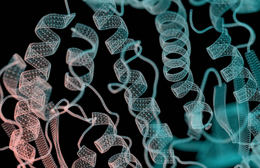 A stylized image of several pink and teal spring-like protein structures on a black background