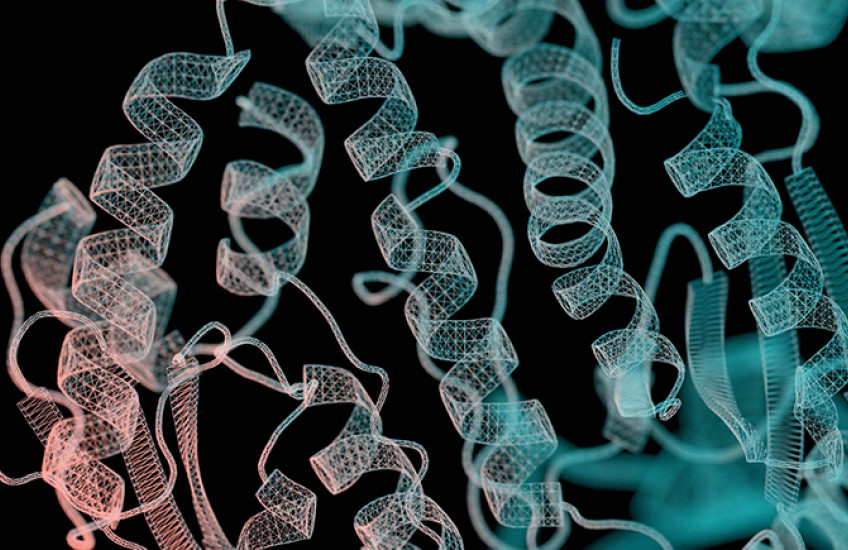 A stylized image of several pink and teal spring-like protein structures on a black background