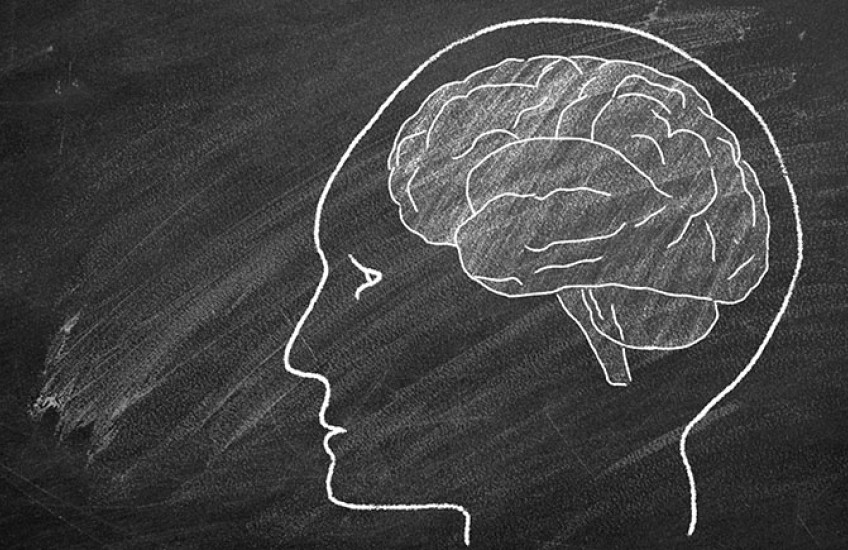 A chalk drawing of a human head with a brain inside