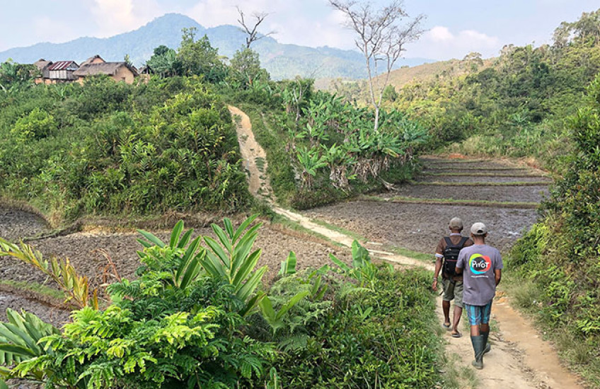 Two people walk along a dirt path bordered by green vegetation and rice paddies in a hilly rural area.