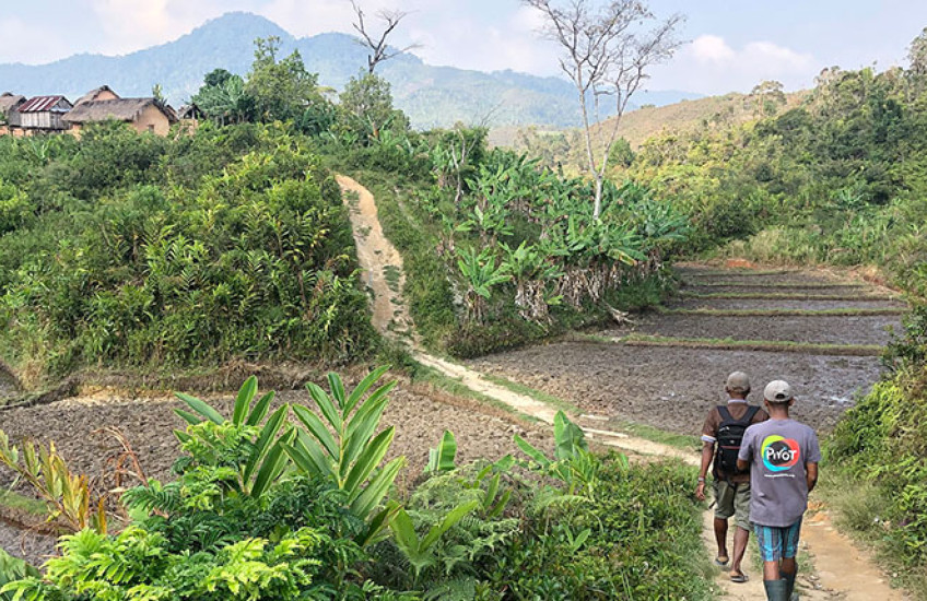 Two people walk along a dirt path bordered by green vegetation and rice paddies in a hilly rural area.