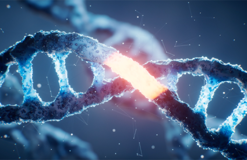 Blue helical DNA ladder with a glowing orange section