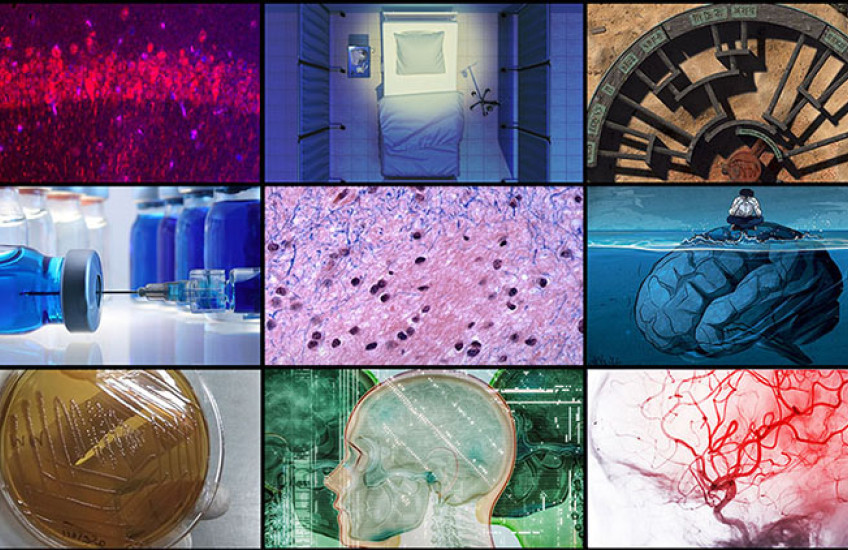 Grid of nine images featured in the news stories on this page