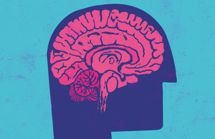 An abstract drawing of a pink brain inside a purple head on a blue background