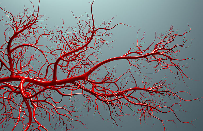 Researchers Receive ARPA-H Award to Tackle Rare Genetic Vascular ...