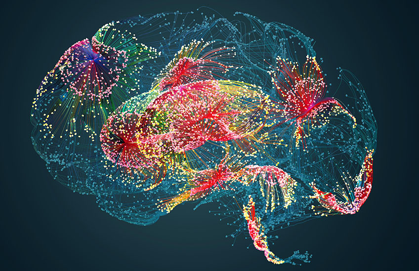 Illustration of a brain with different regions lit up in colorful dots.