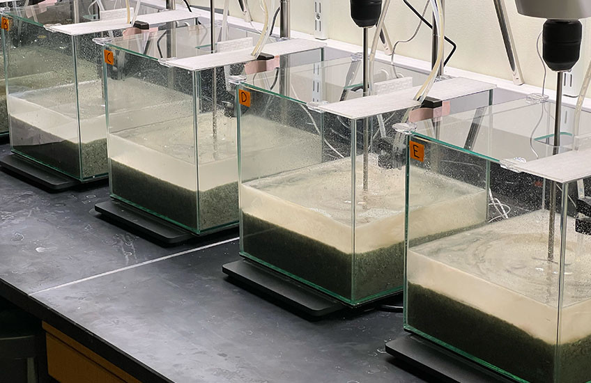 Photo of four clear tanks on a lab bench, each containing green sand and murky water.