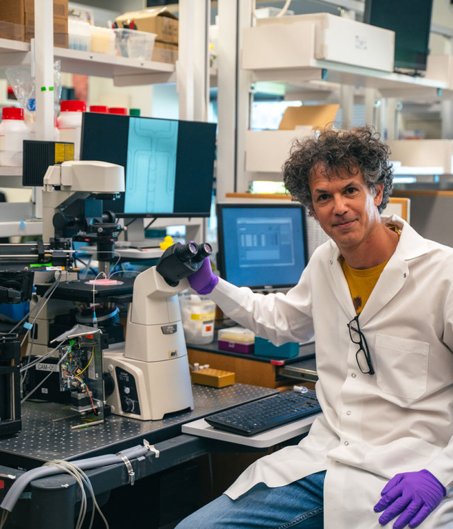 Portrait photo of Allon Klein in his lab.