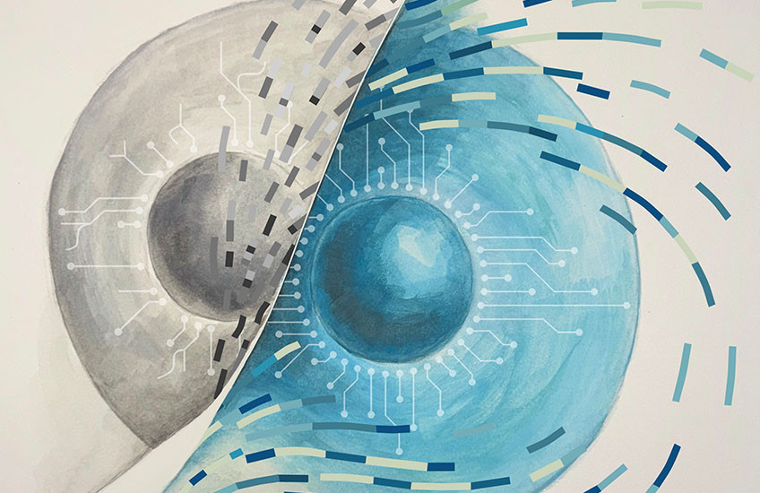 Illustration of aging gray cell transitioning into a rejuvenated blue cell with circuit-like patterning