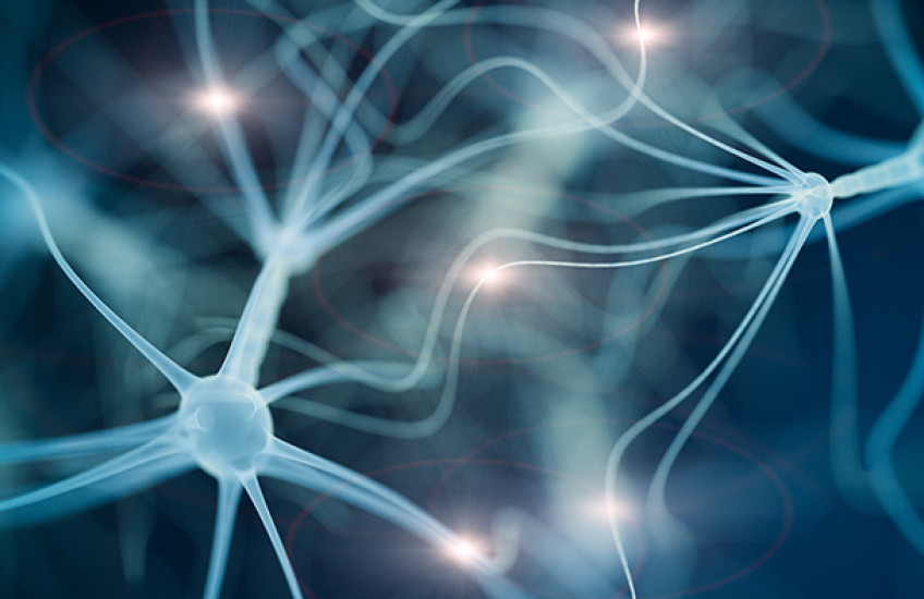 Apparently Autoimmune 